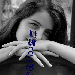 草莓ccyy的切(切)换(換)路线