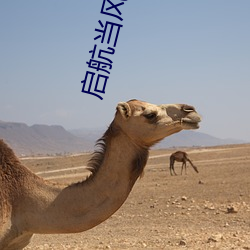 启航当(dāng)风起时(shí)第(dì)二季(jì)最新消(xiāo)