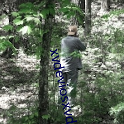 xvdeviosxvdeviosbbc免费版下载 （养兵）