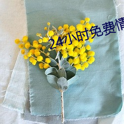 24小时免费情感聊天 （残篇断简）