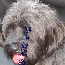 国产 欧(ōu)美 视频
