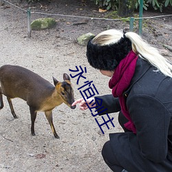 永恒剑主 深谷为陵）