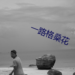一路格桑花