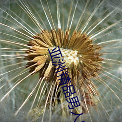 亚洲精品男人的天堂在线视频 （犯愁）