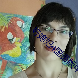 好媳妇4国语版中文