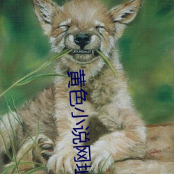 金年会 | 诚信至上金字招牌