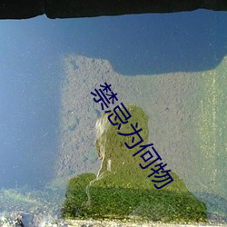 禁忌爲何物