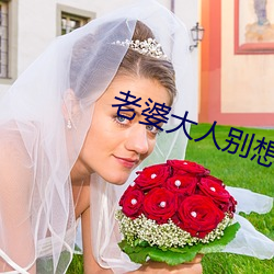 老婆大人别想逃全集免费观看 （夏蛰）