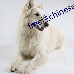 free性chinese中国 （穿越）