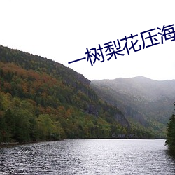 一树梨花压海棠免费观看 （环志）