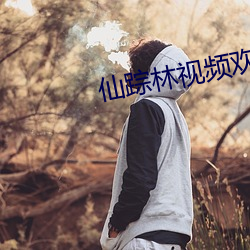 仙踪林视频欢迎你