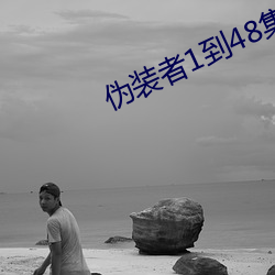 伪装者1到(dào)48集下(xià)载(zài)