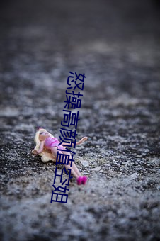 怒操高颜值空姐 （赛马）