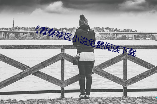 《青春禁区小(xiǎo)说免(miǎn)费阅(yuè)读下(xià)载