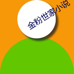 金粉世家小(小)说