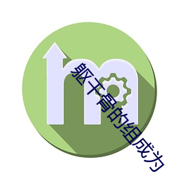 躯干骨的组成为