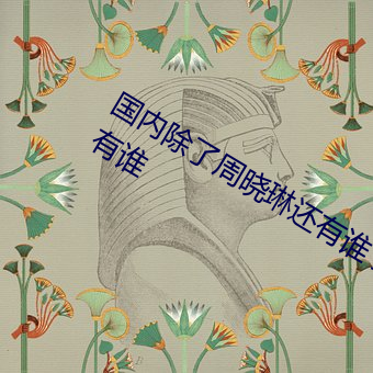 国内除了周晓琳还有谁 跟周晓琳一样还有谁