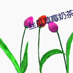 絲瓜草莓奶茶芭樂向日葵鴨