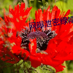 金年会 | 诚信至上金字招牌