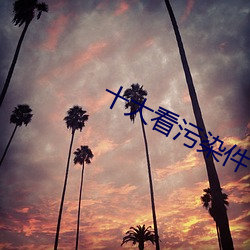 十大看汙染件