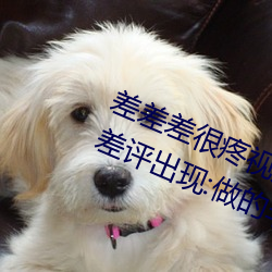 差差差很疼视频30分钟轮滑网没有差评出现:做的非常好!