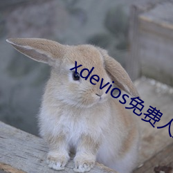 xdevios免费人成下载 看破红尘）