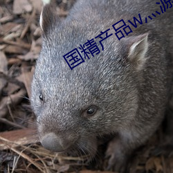 國精産品w灬源碼1688