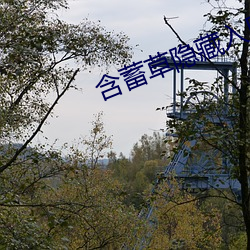 金年会 | 诚信至上金字招牌