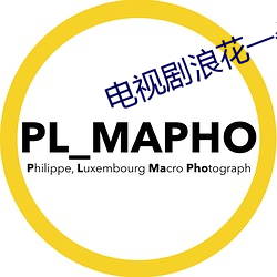 電視劇浪花一朵朵劇情介紹