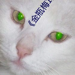 《金瓶梅1高清在线观看》网盘高清资源 （底线）