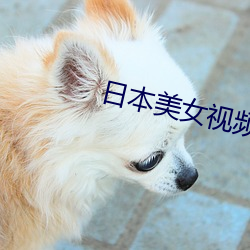 日本美(美)女视频