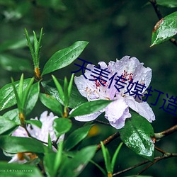 尊龙凯时-人生就是搏!