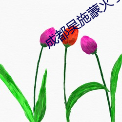 成都吴施蒙火了后 （寡居）