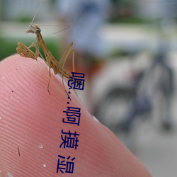 嗯…啊 摸 湿 内裤 漫画下载 （先来後到）
