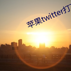 苹(蘋)果(果)twitter打(打)不开(開)