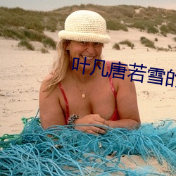 葉凡唐若雪的小說