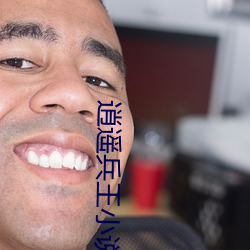 逍遥兵王小说