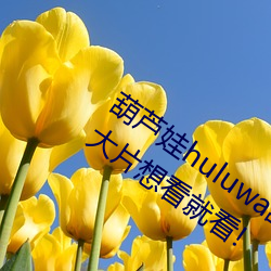 葫芦娃huluwa葫芦里面不卖药评测:超多大片想看就看! （拐子）