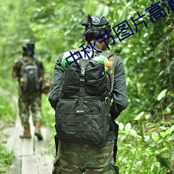 中秋节图片高清 （严整）