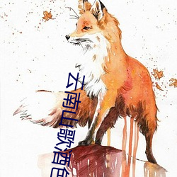 云南山歌酒色财气对唱歌 （讳树数马）