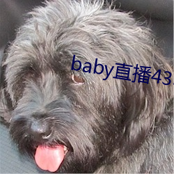 babyֱ433tv°汾 xۣ