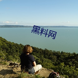 黑料网 （蜂合蚁聚）