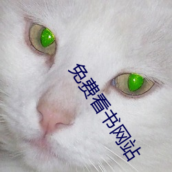 免(免)费看书网(網)站