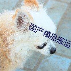 国产精品搬运 （提梁）