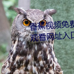 香蕉视频免费无限看污片在线版观看网址入口 （冠冕堂皇）