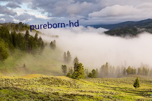 pureborn-hd