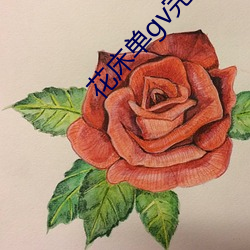 花床单gv完整版在线