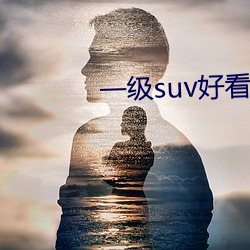 一级suv好看的国产 （简明扼要）