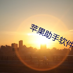 苹果助手软件 （力拼）