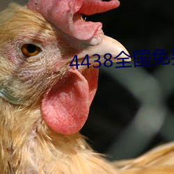 4438全國免費觀看